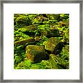 Electric Green Framed Print