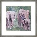 Elephant Family Framed Print