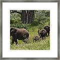 Elephant Family Tarangire Np Framed Print
