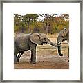 Elephant Greeting Framed Print