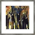 Elephant Herd Framed Print