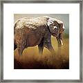 Elephant In The Mist Framed Print