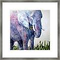 Elephant Sanctuary Framed Print