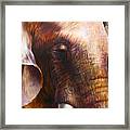 Elephant Empathy Framed Print