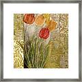 Emily Damask Tulips Iii Framed Print