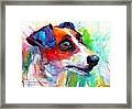 Emotional Jack Russell Terrier Framed Print