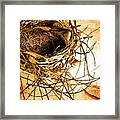 Empty Nest Framed Print