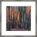 Enchanted Forest Framed Print