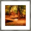 Enchanted Path - Allaire State Park Framed Print