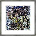 Endless Energy Framed Print