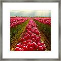 Endless Framed Print