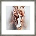 Equine Portrait Beautiful Thoroughbred Horse Head Framed Print