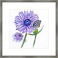 Erika's Butterfly Three Framed Print