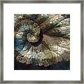 Escargot Begonia Framed Print