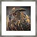 Eurasian Eagle Owl Portrait 2 Framed Print