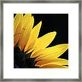 Evening Glow Framed Print