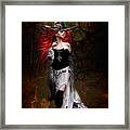 Evening Of The Witch Framed Print