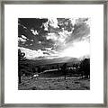 Evening Shadows Framed Print