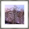 Evening Snow Sky Framed Print
