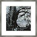 Everglades Framed Print