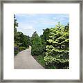 Evergreen Garden Framed Print