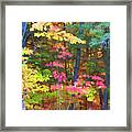 Every Leaf Is A Flower Framed Print