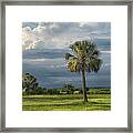 Everyday Is A New Day Framed Print