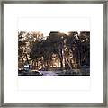 #exclusive_trees #flair_bw Framed Print
