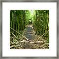 Exlporing Maui's Bamboo Framed Print