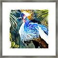 Exotic Bird Framed Print