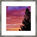 Exploding Color Framed Print