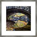 Eye Framed Print