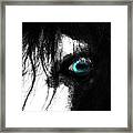 Eye Of The Horse Framed Print