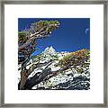 Eye Wonder Framed Print