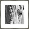 Eyes Framed Print