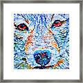 Face Of A Wolf Framed Print