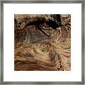 Faces In The Wood #3 Framed Print