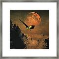 Falcons Hunting In The Evening Framed Print
