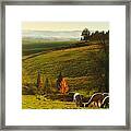 Fall Alpaca Farm Framed Print