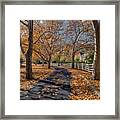 Fall At Home Framed Print