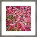 Fall Bloom Framed Print