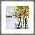 Fall Blows In Framed Print