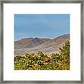 Fall Color And Squaw Butte Framed Print