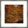 Fall Color At Centerpoint Trailhead Framed Print