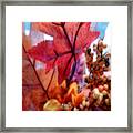 Fall Colors # 6059 Framed Print