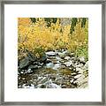 Fall Colors And Rushing Stream - Eastern Sierra California Framed Print