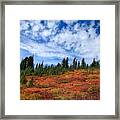 Fall Colors At Mount Rainier Framed Print