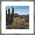 Fall Colors In The Sonoran Framed Print