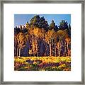 Fall Colors Lone Cone Area Colorado Framed Print