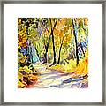 Fall Dazzle, Tennessee Framed Print